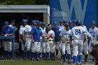 Baseball vs Babson  Wheaton College Baseball vs Babson during Championship game of the NEWMAC Championship hosted by Wheaton. - (Photo by Keith Nordstrom) : Wheaton, baseball, NEWMAC